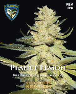 Planet Lemon 710 Bonus Pack (Feminized) (space) T.H. Seeds