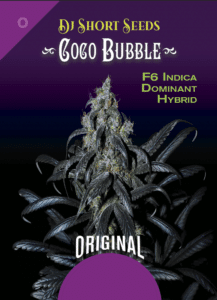 Coco Bubble (Regular) (space) DJ Short Seeds