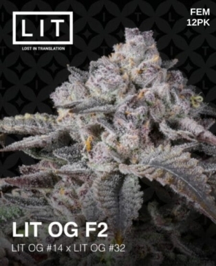 LIT OG F2 (Feminized) (space) LIT Farms