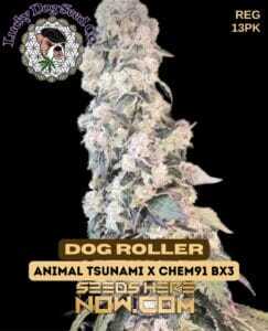 Dog Roller (Regular) (space) Lucky Dog Seed Company