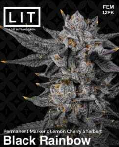 Black Rainbow (Feminized) (space) LIT Farms