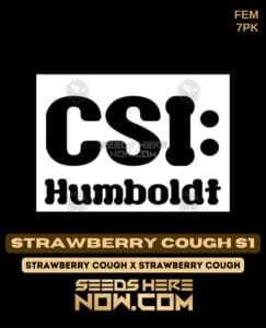Strawberry Cough S1 (Feminized) (space) CSI Humboldt