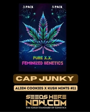 Cap Junky S1 (Feminized) (space) Pure XX