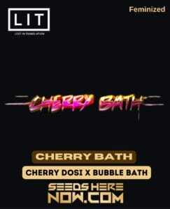 Cherry Bath (Feminized) (space) LIT Farms