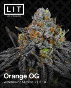 Orange OG (Feminized) (space) LIT Farms