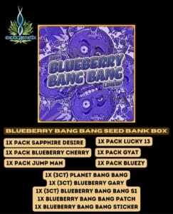 Blueberry Bang Bang Seed Bank Box (Feminized) (space) Exotic Genetix