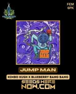 Jump Man (Feminized) (space) Exotic Genetix