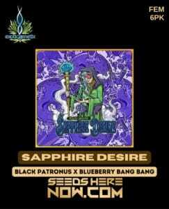 Sapphire Desire (Feminized) (space) Exotic Genetix