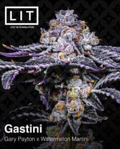 Gastini (Feminized) (space) LIT Farms