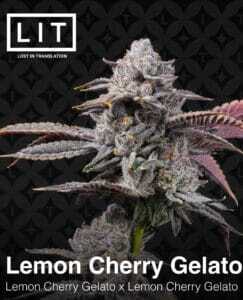 Lemon Cherry Gelato S1 (Feminized) (space) LIT Farms