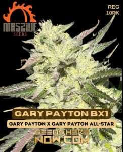 Gary Payton BX1 (Regular) (space) Massive Seeds