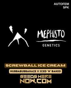 Screwball Ice Cream (Autoflower) (space) Mephisto Genetics