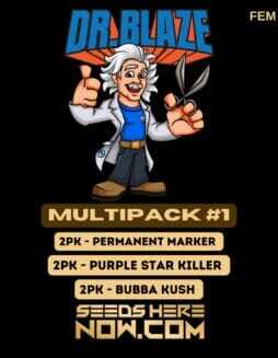 Multipack #1 (Feminized) (space) Dr. BlazeMultipack #1 (Feminized) (space) Dr. Blaze