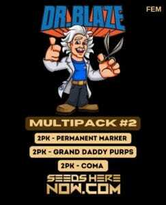 Multipack #2 (Feminized) (space) Dr. Blaze