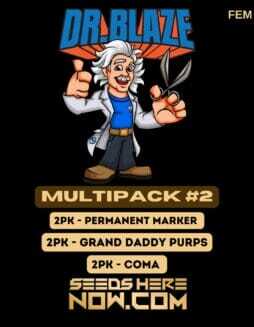 Multipack #2 (Feminized) (space) Dr. BlazeMultipack #2 (Feminized) (space) Dr. Blaze