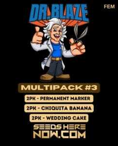 Multipack #3 (Feminized) (space) Dr. Blaze