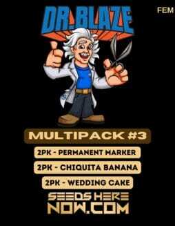 Multipack #3 (Feminized) (space) Dr. BlazeMultipack #3 (Feminized) (space) Dr. Blaze
