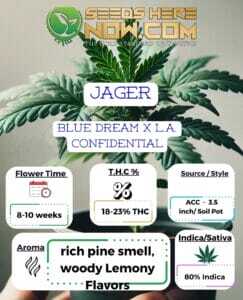 Jager Clones (space) ACC