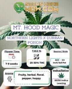 Mt Hood Magic Clones (space) ACC