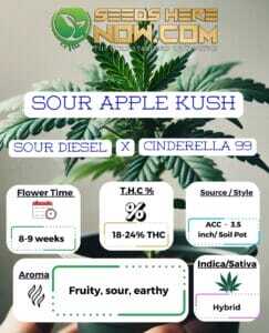 Sour Apple Kush Clones (space) ACC