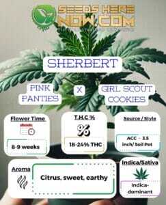 Sherbert Clones (space) ACC