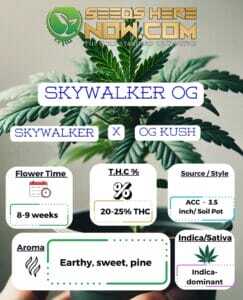Skywalker OG Clones (space) ACC