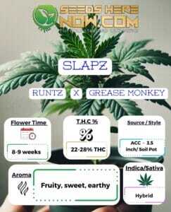 Slapz Clones (space) ACC