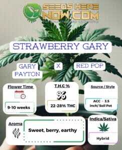 Strawberry Gary Clones (space) ACC