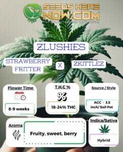 Zlushies Clones (space) ACC