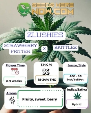 Zlushies Clones (space) ACC