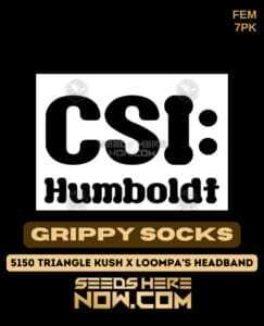 Grippy Socks (Feminized) (space) CSI Humboldt