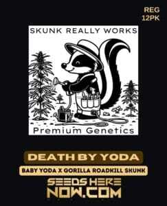 Death by Yoda (Regular) (space) Skunk Really Works