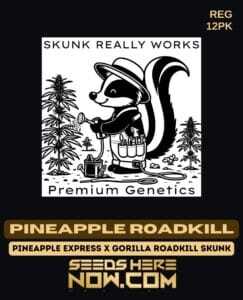 Pineapple Roadkill (Regular) (space) Skunk Really Works