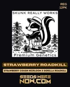 Strawberry Roadkill (Regular) (space) Skunk Really Works