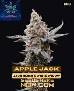 Apple Jack S1 (Feminized) (space) Pure XX