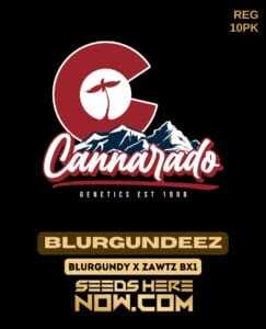 Cannarado Genetics (space) Blurgundeez {REG} [10pk]