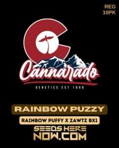 Cannarado Genetics (space) Rainbow Puzzy {REG} [10pk]