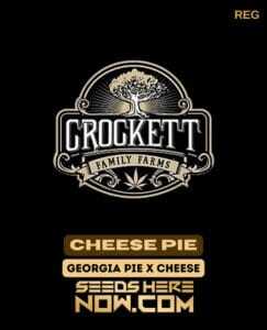 Cheese Pie (Regular) (space) Crockett Family Farms