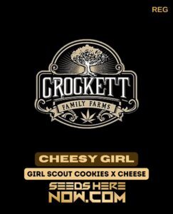 Cheesy Girl (Regular) (space) Crockett Family Farms