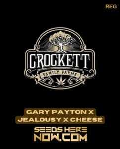 Gary Payton x Jealousy x Cheese (Regular) (space) Crockett Family Farms