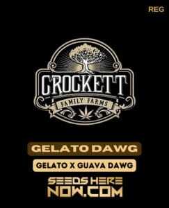Gelato Dawg (Regular) (space) Crockett Family Farms