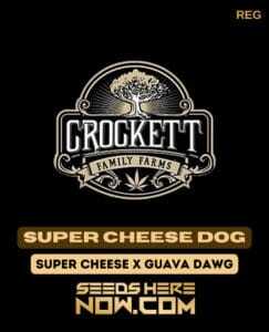 Super Cheese Dog (Regular) (space) Crockett Family Farms