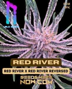 Red River (Feminized) (space) Uruz Seeds