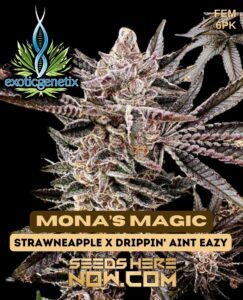Mona’s Magic (Feminized) (space) Exotic Genetix