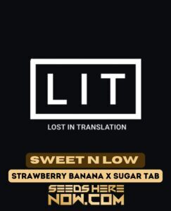 Sweet N Low (Feminized) (space) LIT Farms