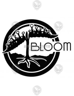 Bloom Seed Co